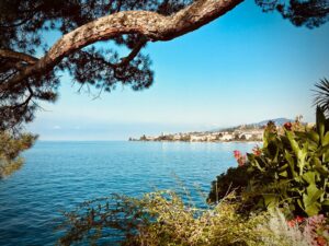 Cours BLS-AED SRC Complet à Montreux – 21 novembre 2026 tree beside body of water